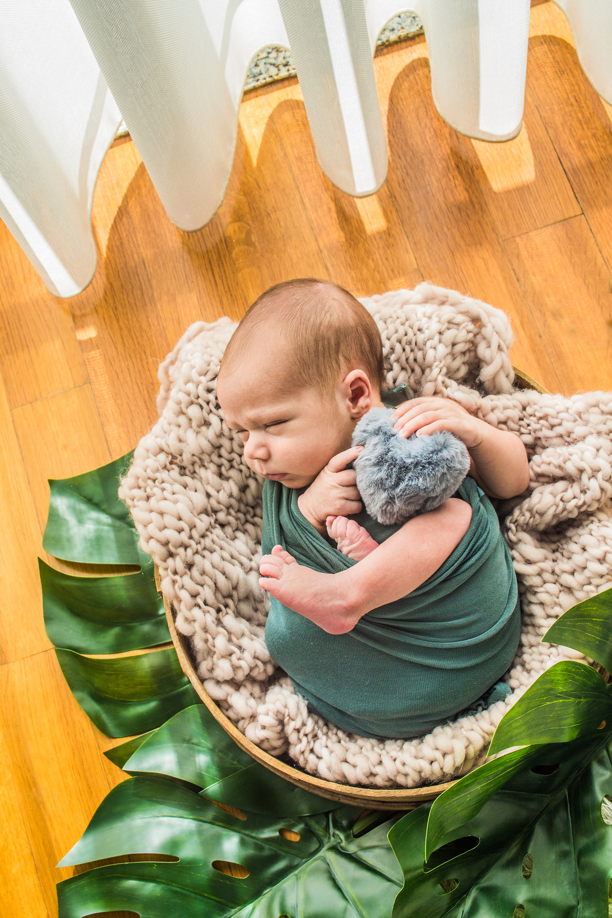 Pic of Life-Freamunde-New Born