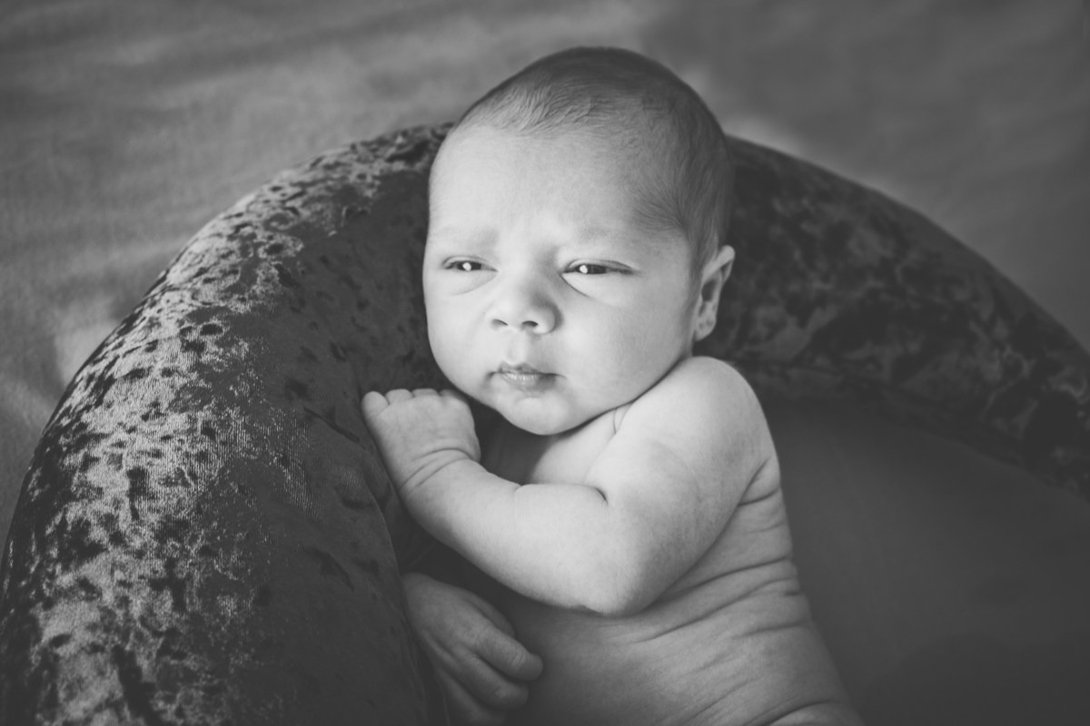 Pic of Life-Freamunde-New Born