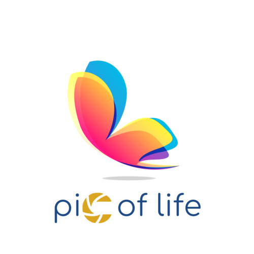 Logotipo de Claudia Silva