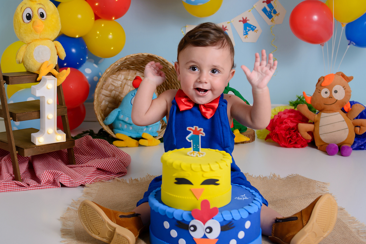 Bebê 1 aninho- acompanhamento bebê  -  acompanhamento bebê -ensaio 1 aninho - ensaio galinha pintadinha menino