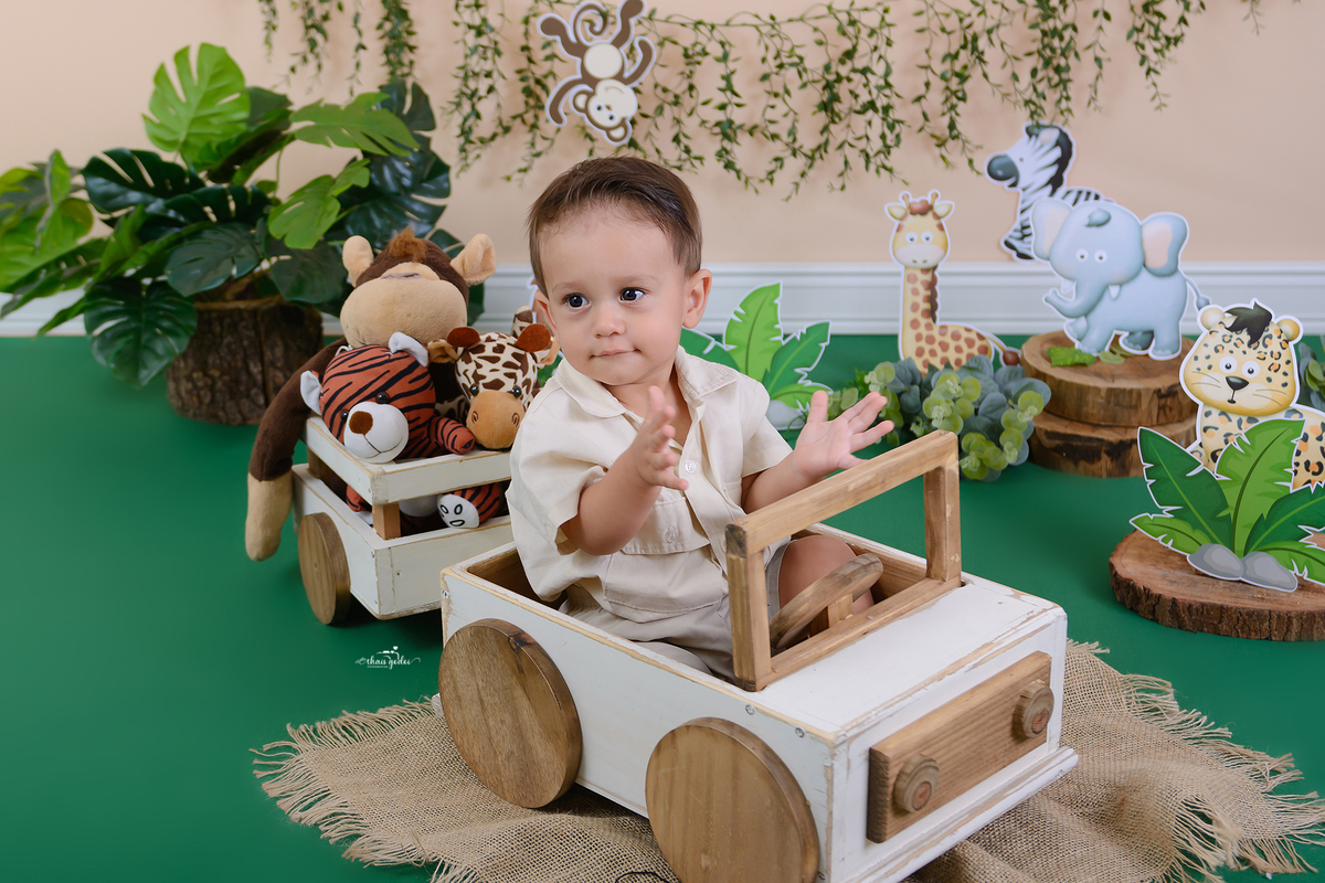 Acompanhamento mensal bebe safari, mesversário bebe safari, ensaio bebe menino safari