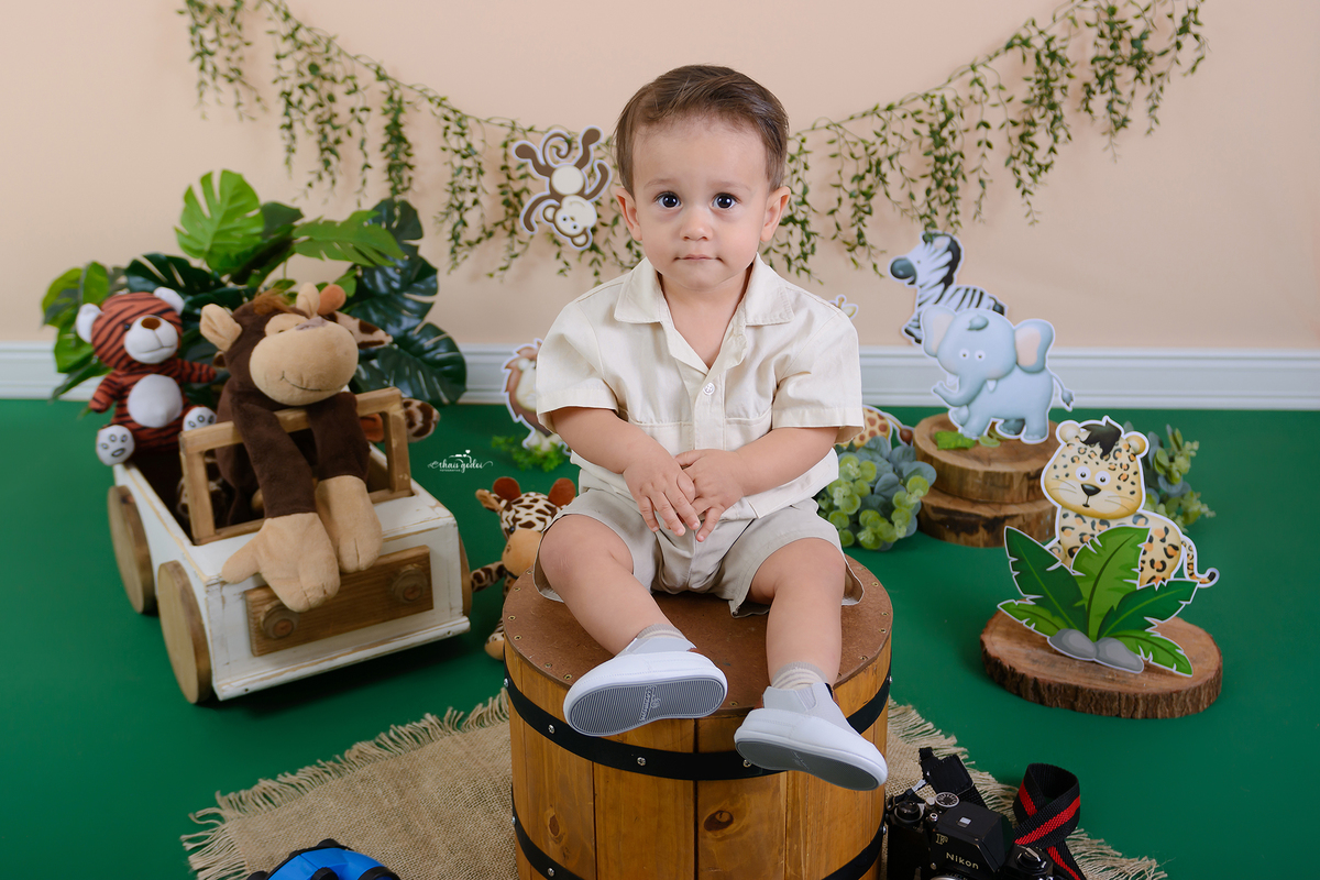 Acompanhamento mensal bebe safari, mesversário bebe safari, ensaio bebe menino safari