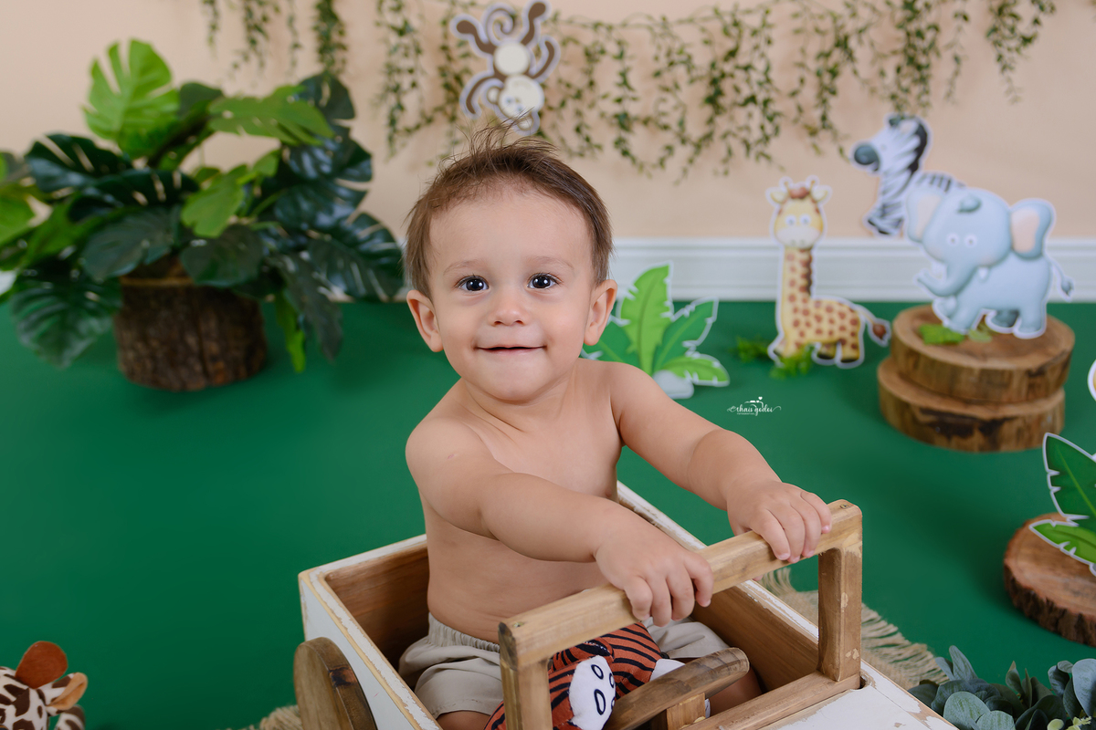 Acompanhamento mensal bebe safari, mesversário bebe safari, ensaio bebe menino safari