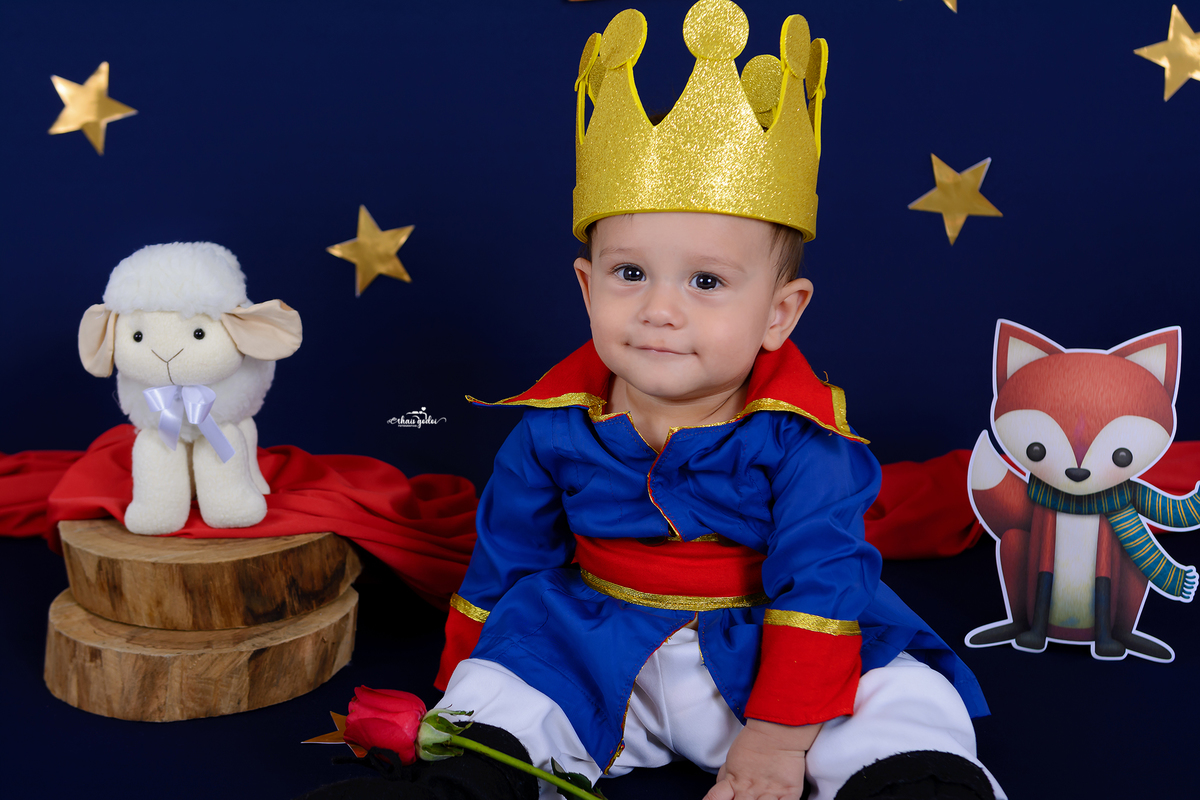 ensaio Pequeno Príncipe, ensaio mesversário menino, ensaio bebê menino, acompanhamento mensal em São Pedro-SP