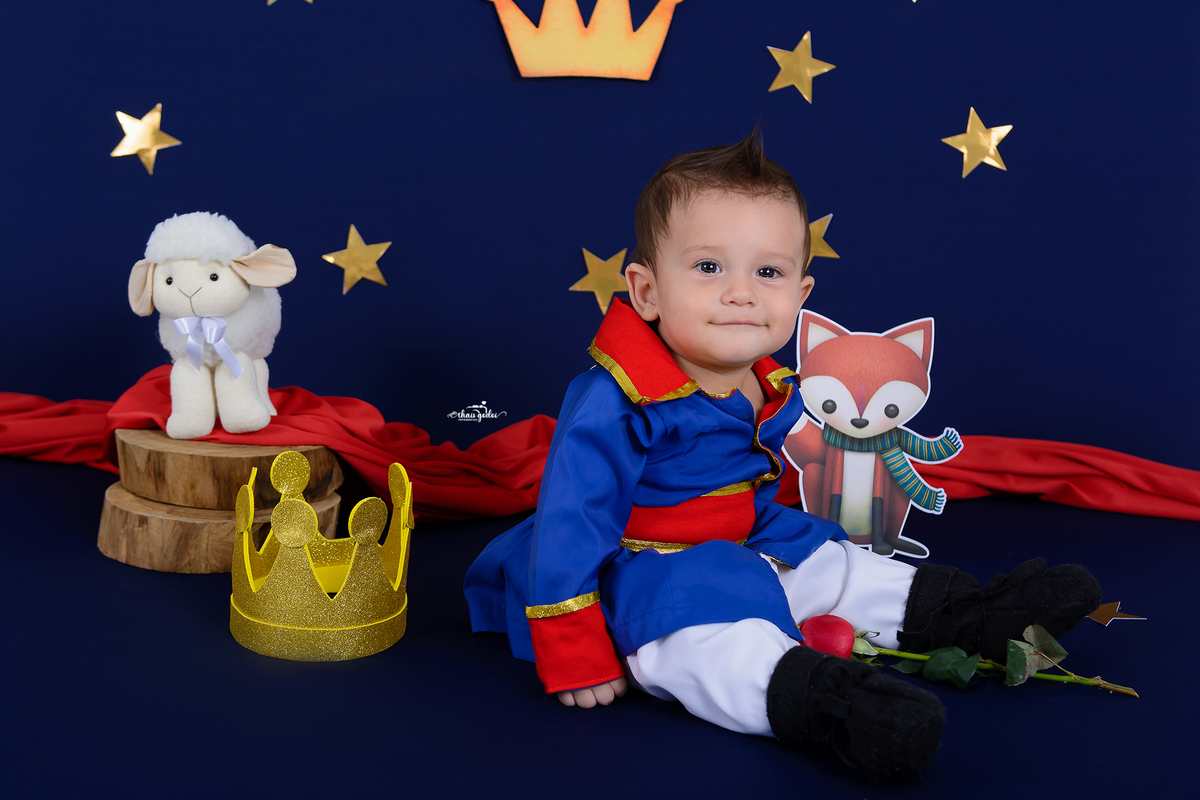 ensaio Pequeno Príncipe, ensaio mesversário menino, ensaio bebê menino, acompanhamento mensal em São Pedro-SP