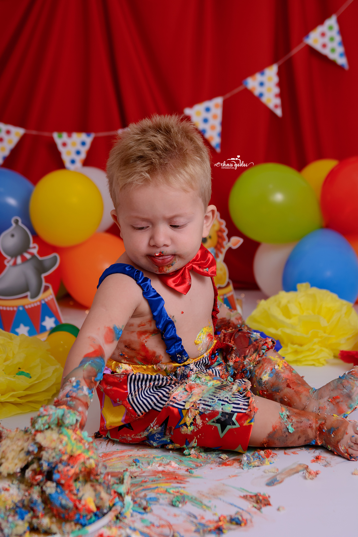 smash the cake, ensaio de 1 ano, ensaio circo, mesversário