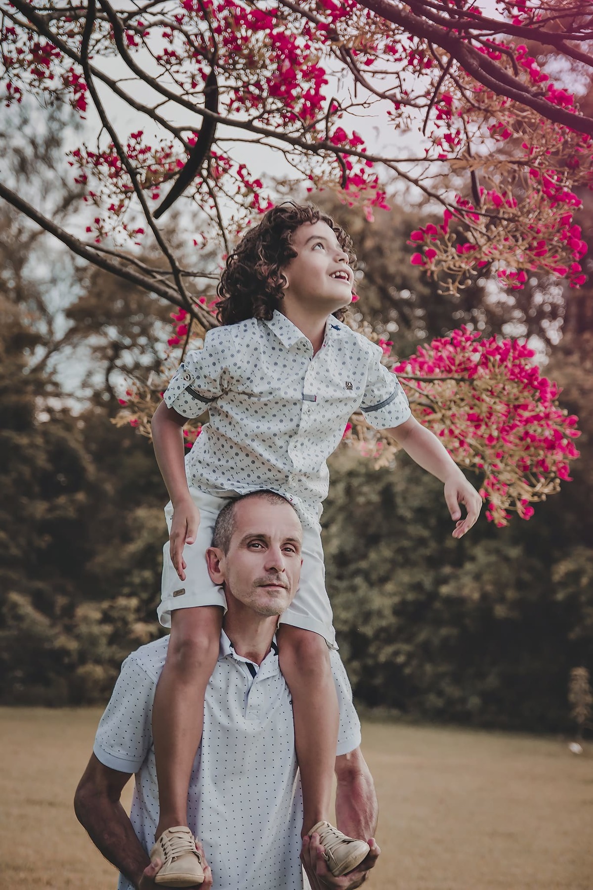 brincando com o pai tentando pegar folhas da arvore