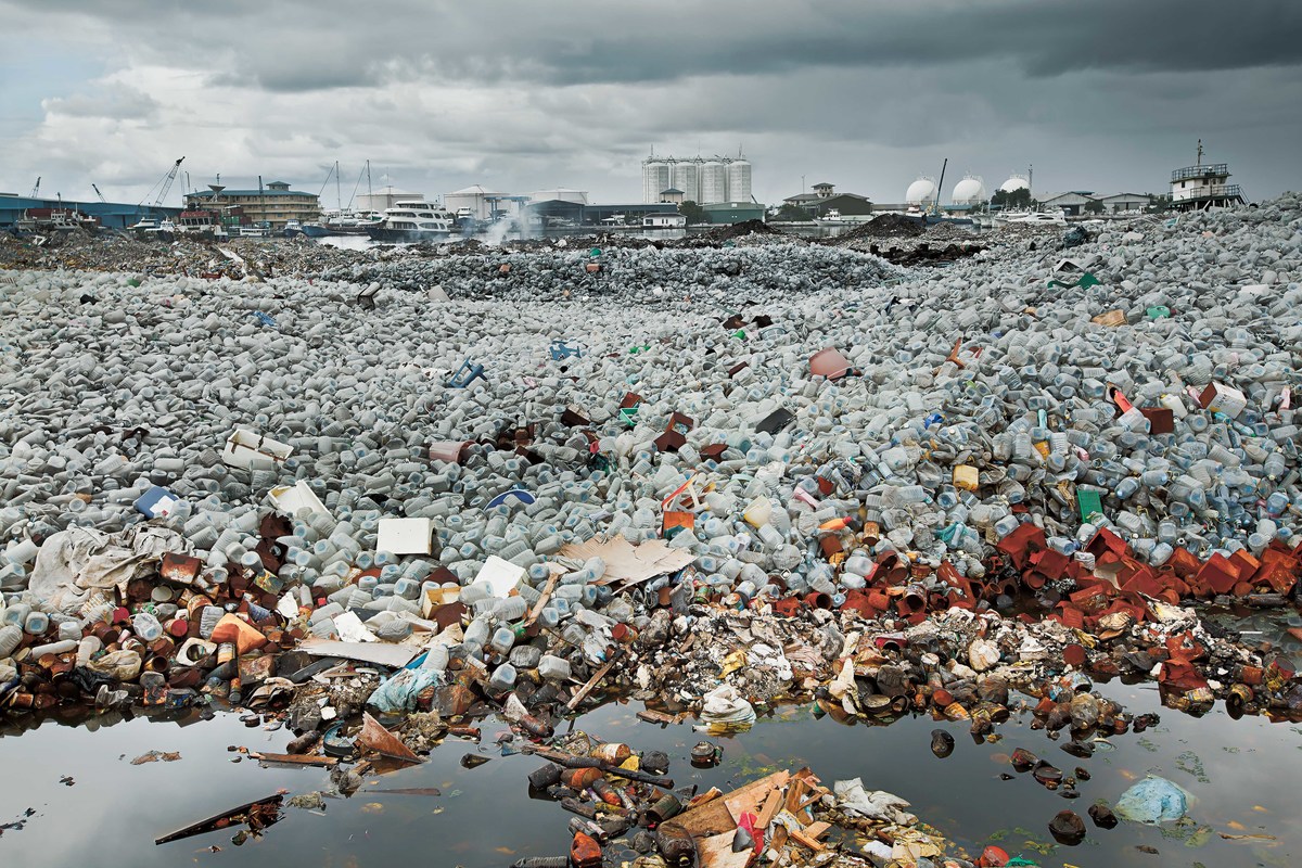 Imagem capa - A ilha de lixo por Érico Hiller