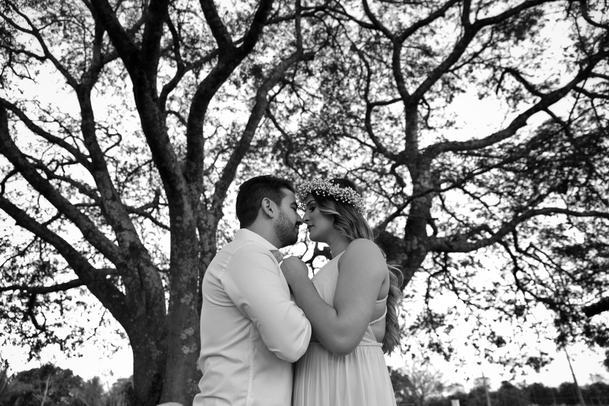 belezas do cerrado goiano 