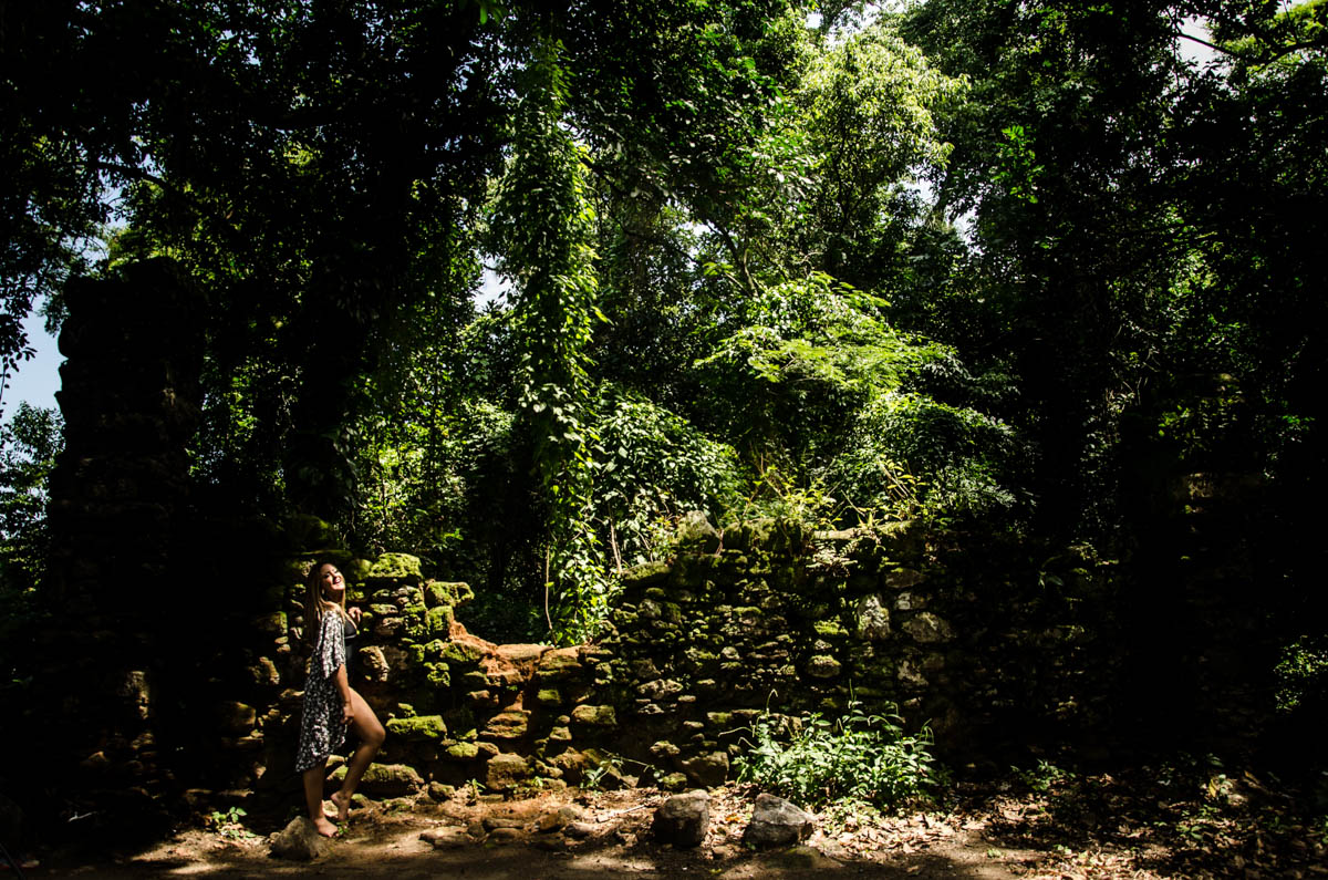 cenário lindo registrado pelo fotografo fabio doria em reserva de sahy