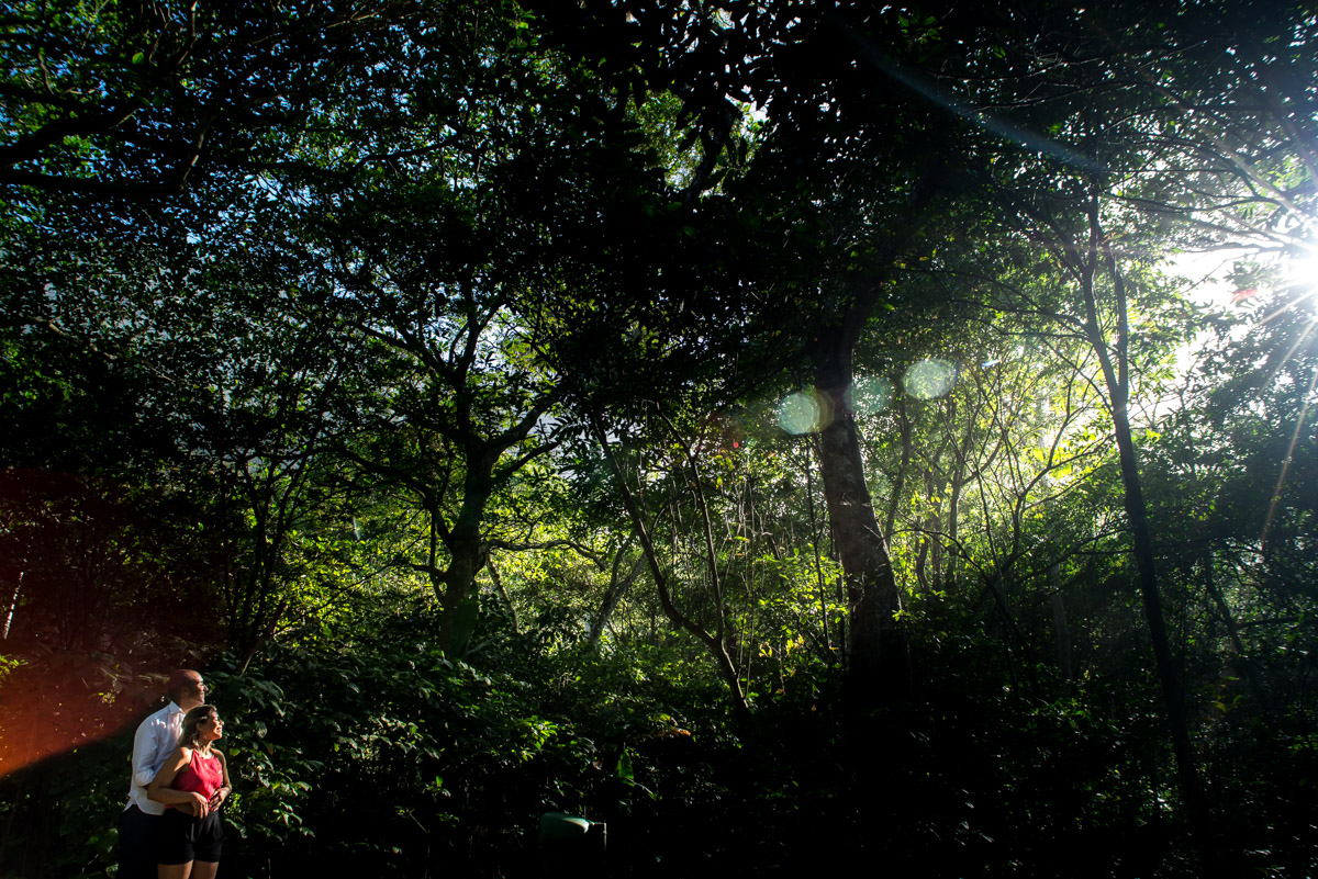 ensaio externo e natureza