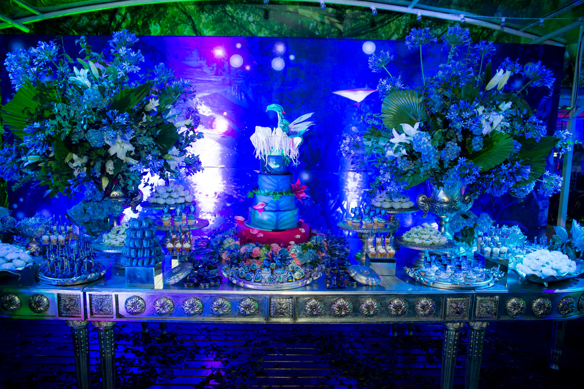 tema de festa avatar mc duduzinho fotografo fabio doria em bangu