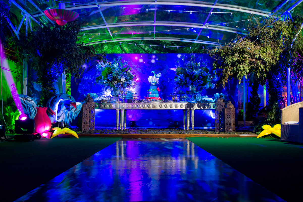 tema de festa avatar mc duduzinho fotografo fabio doria