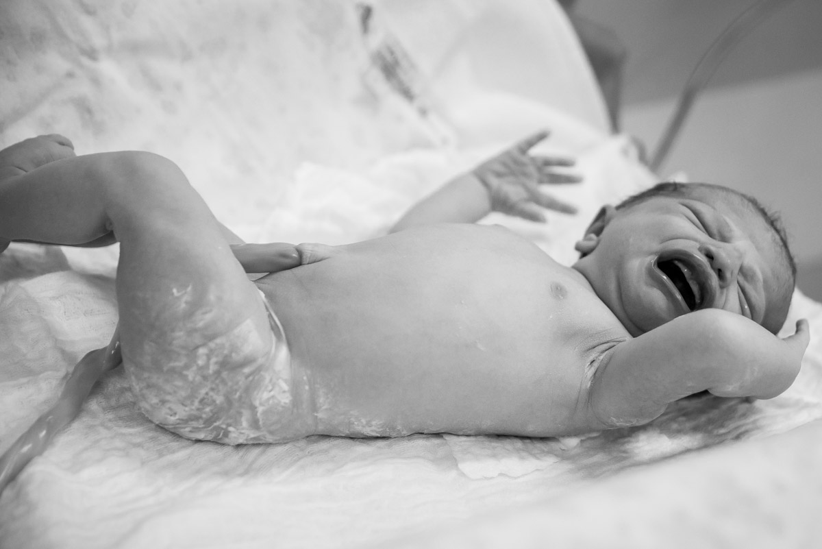 a chegada do bebê fotógrafo fabio doria