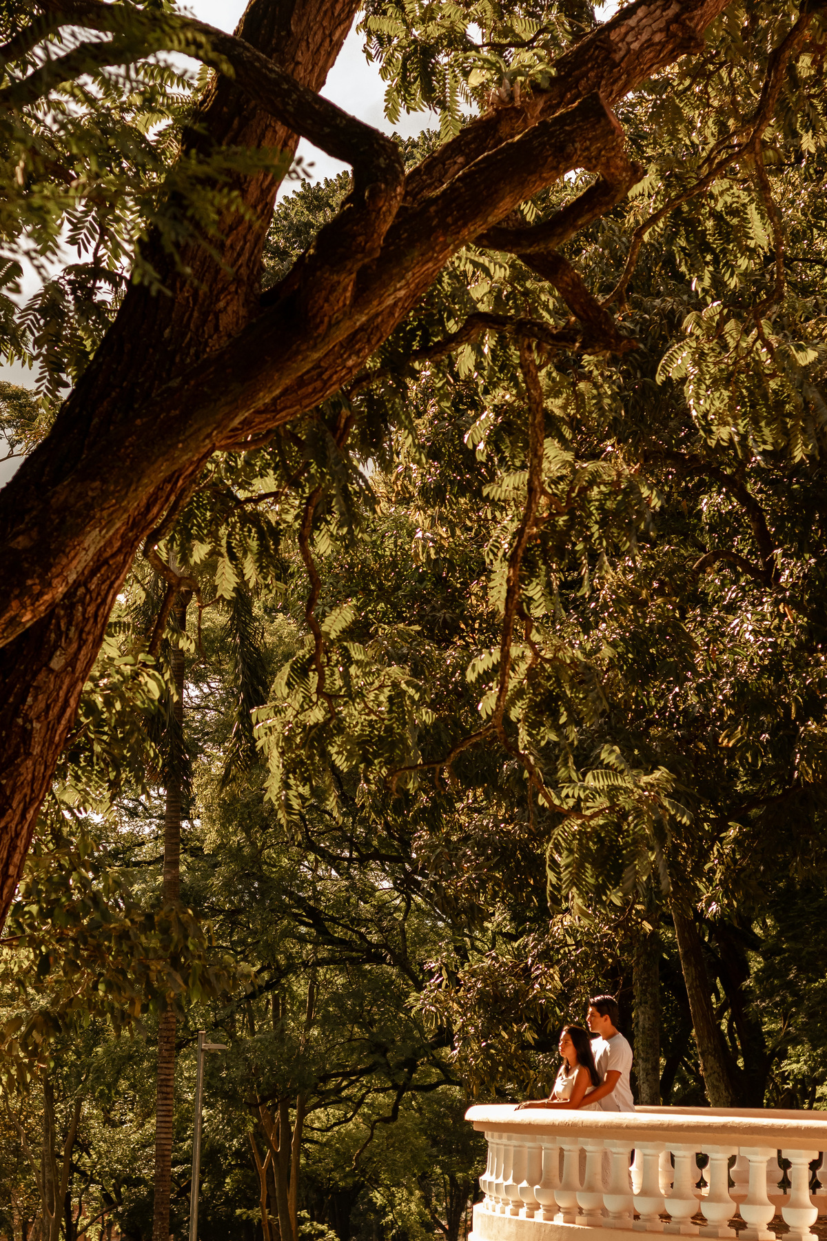fotografia de casal em ribeirão preto, ensaio pre wedding de ribeirão preto, fotografo de casamentos em ribeirão preto 