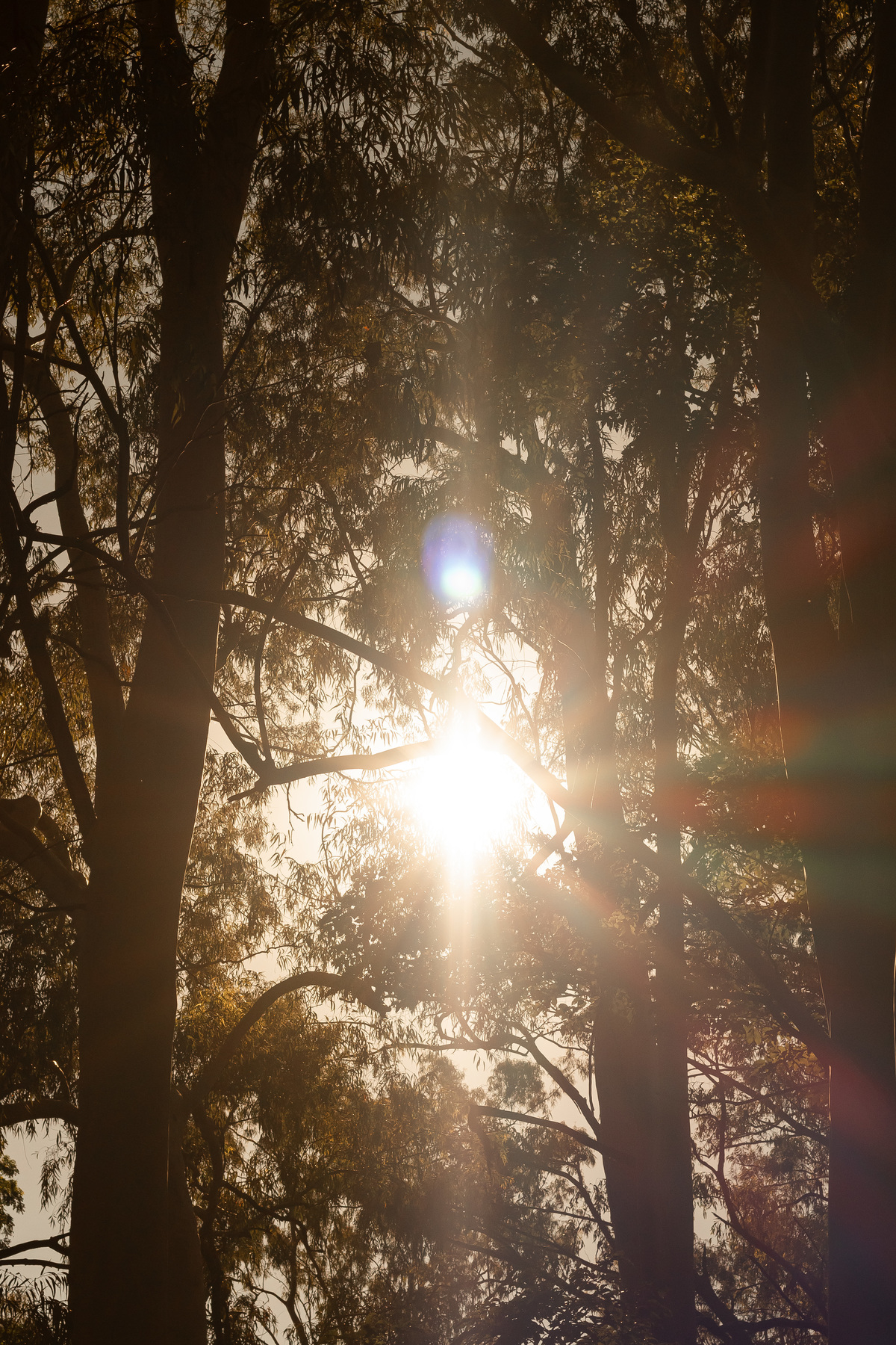 fotografo de casamento em ribeirão preto, fotografo de pre wedding em ribeirão preto 
