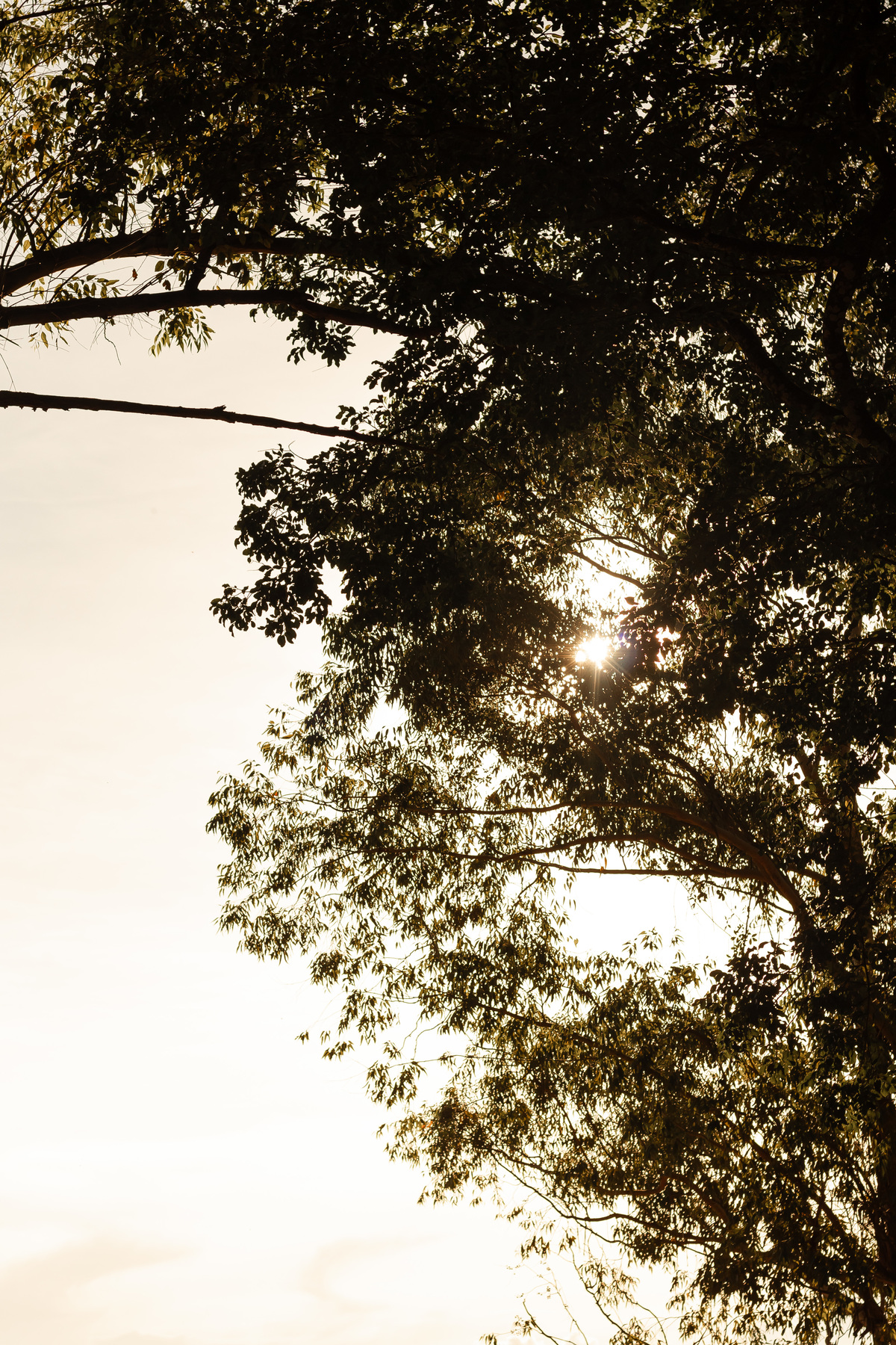 fotografo de casamento em ribeirão preto, fotografo de pre wedding em ribeirão preto 