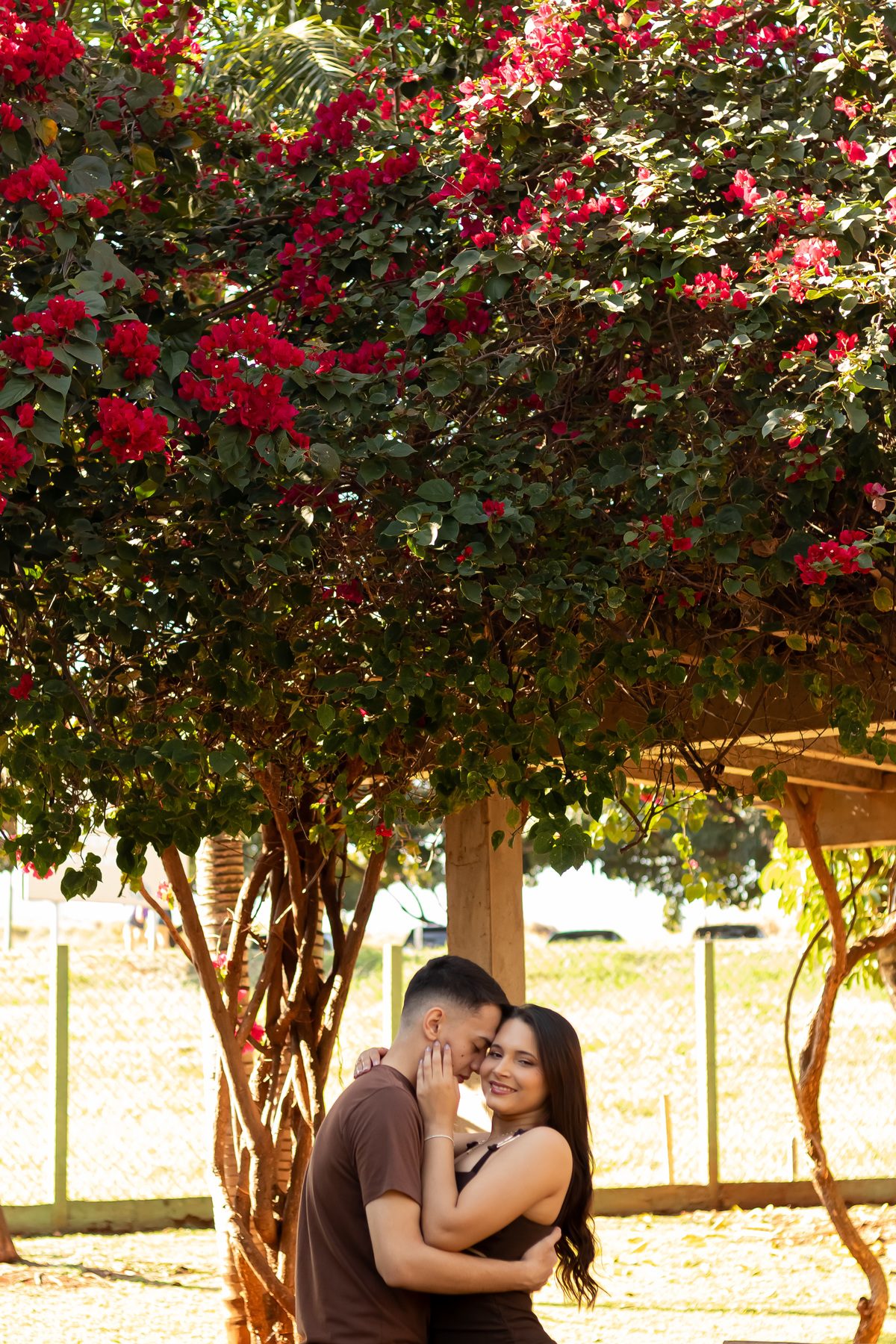Ensaio pre wedding de Mah e Kaique no Parque do Curupira em Ribeirão Preto, unindo fotografia de conexão, natureza e a luz dourada perfeita do amor.