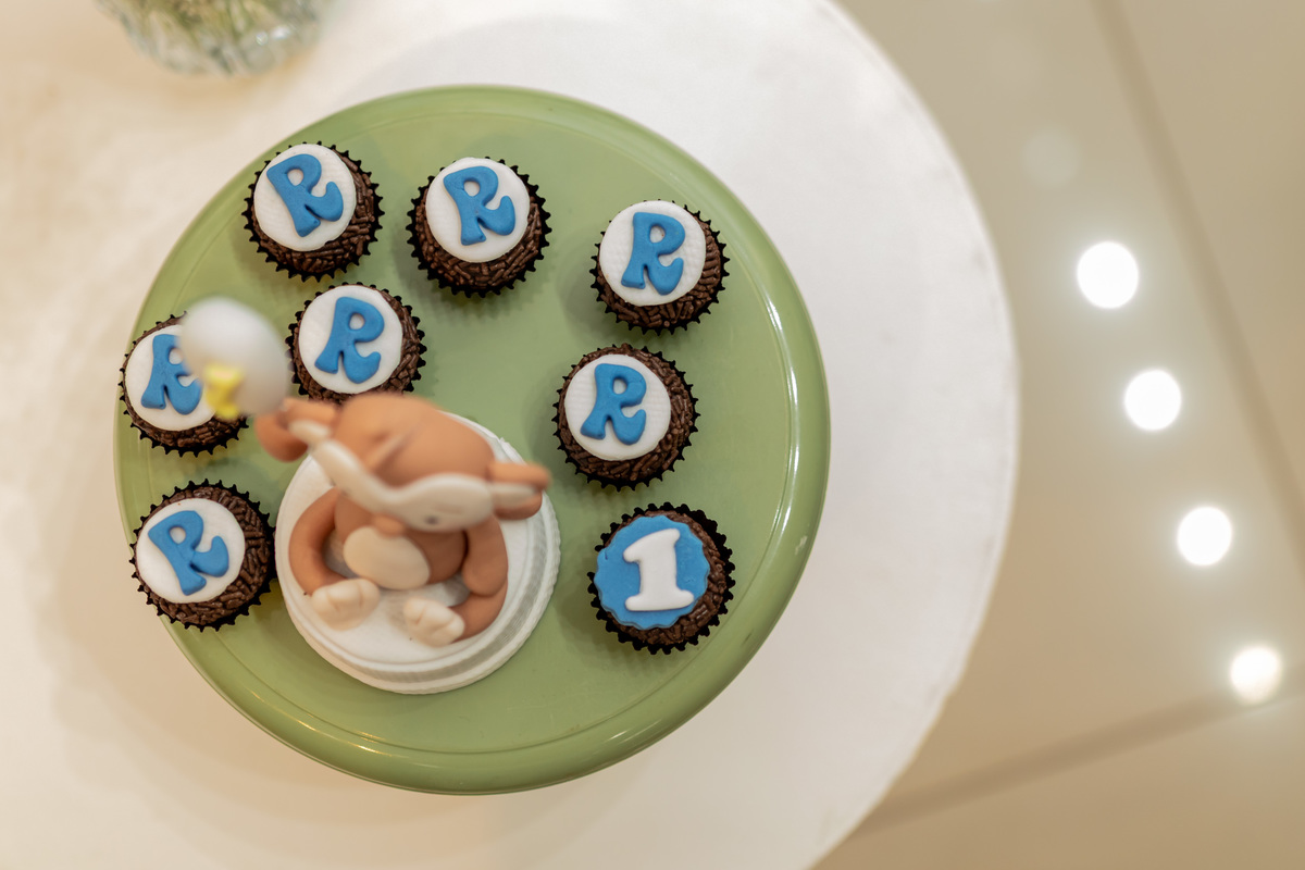 Fotografia de aniversário infantil de 1 ano em Ribeirão Preto. Cobertura completa de festa de aniversário com tema afetuoso, decoração e fotos da família.