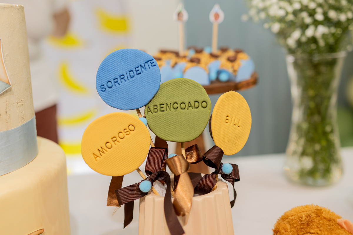 Fotografia de aniversário infantil de 1 ano em Ribeirão Preto. Cobertura completa de festa de aniversário com tema afetuoso, decoração e fotos da família.