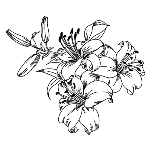 Logotipo de Lorrany Ramos