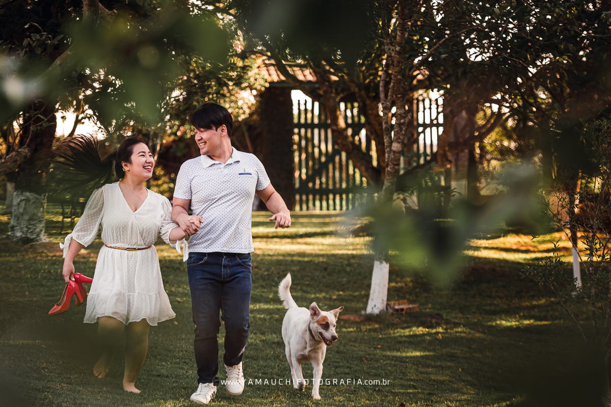 Pré casamento com cachorro SP