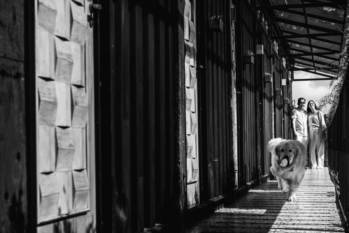 Fotógrafo de casamento em São Paulo