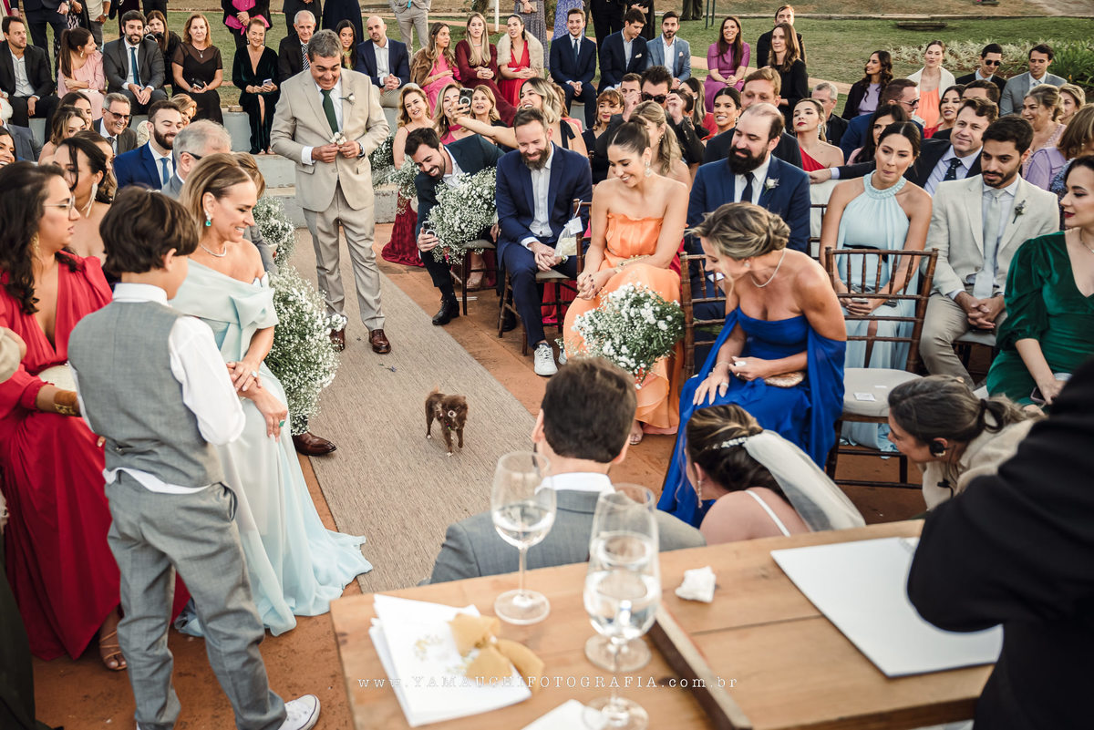 cerimonia com pet