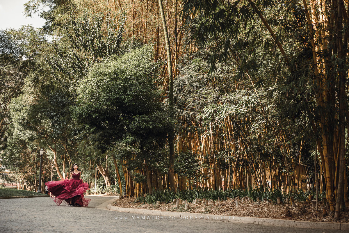 Ensaio de 15 anos Museu do ipiranga SP
