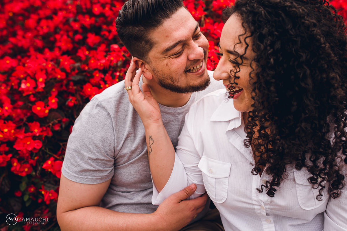 Holambra cidade das flores