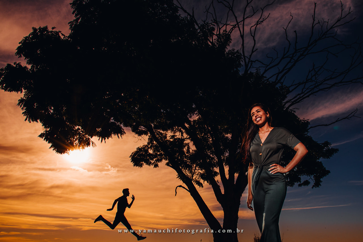 Árvore solitária em Holambra para fotografia
