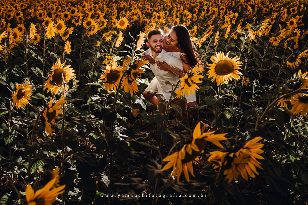 Pre casamento em Holambra