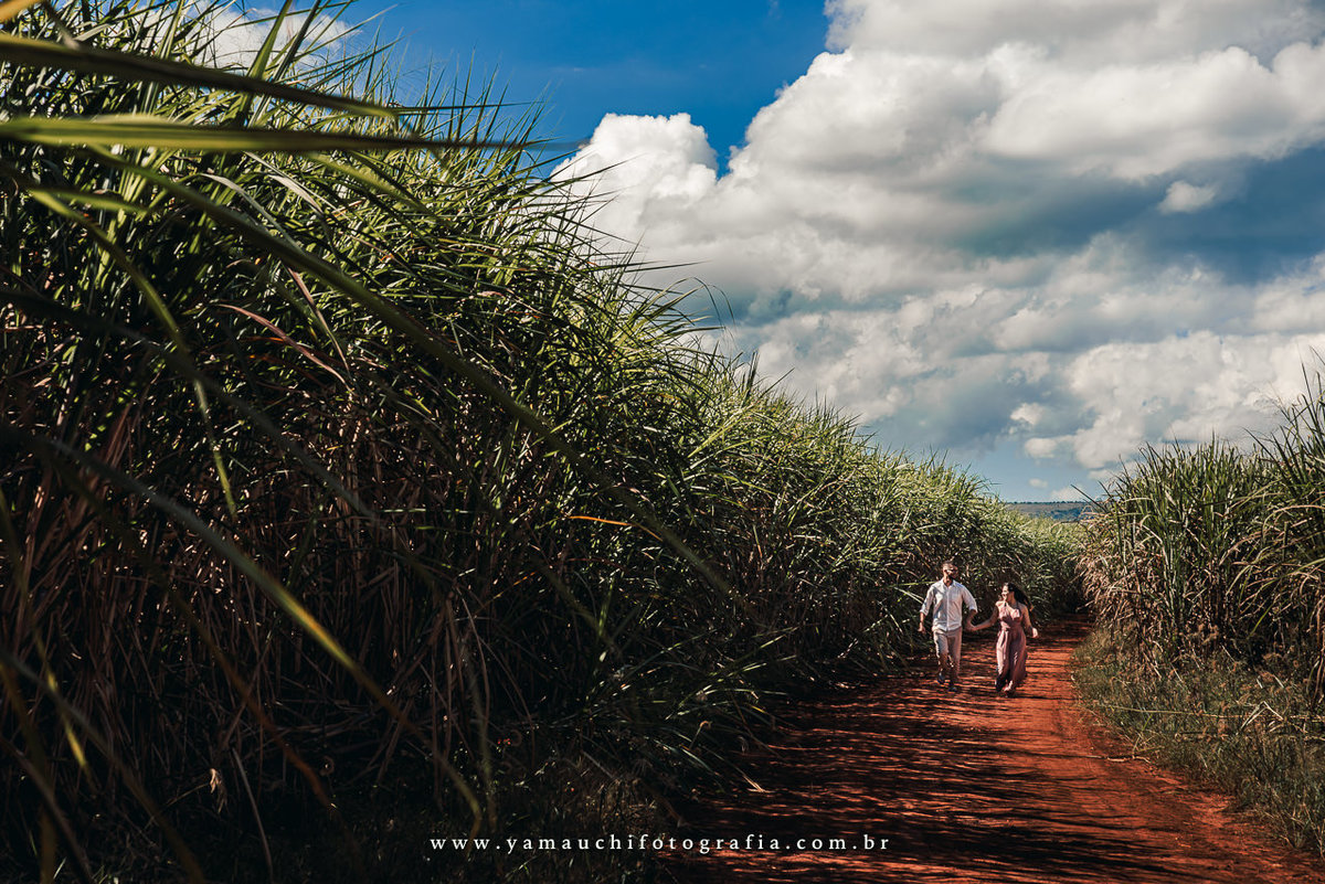 Fotógrafo de casamento SP