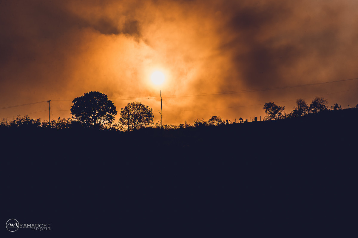 Casamento ao ar livre