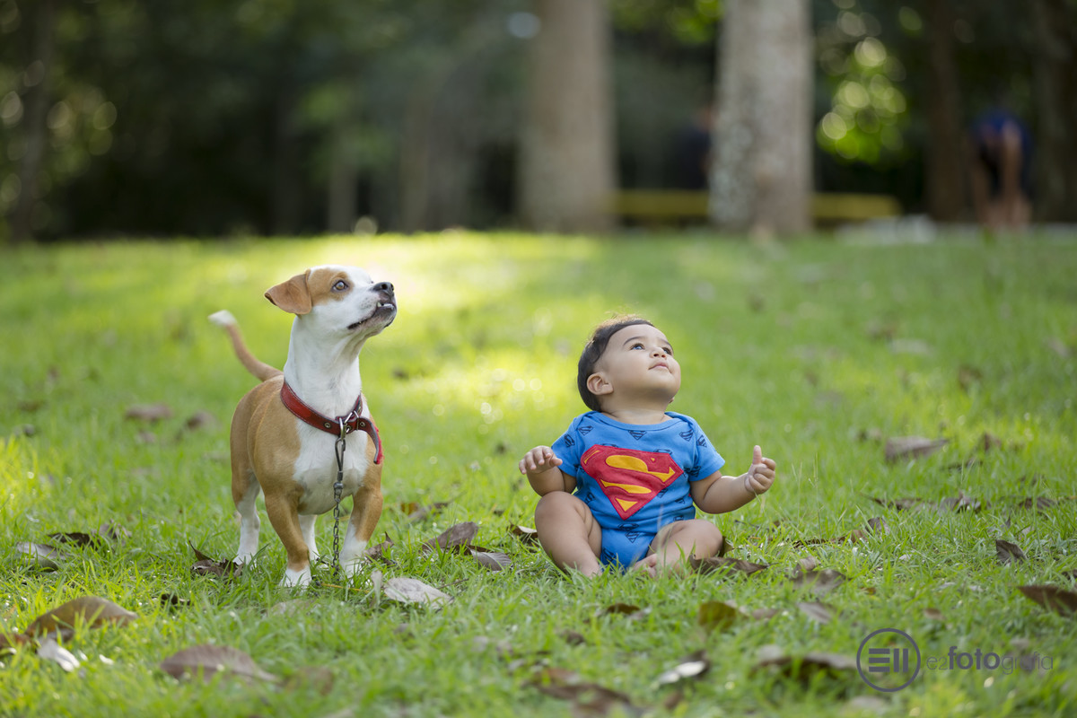 Ensaio Temático do super homem