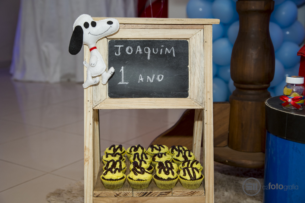 festa de um ano com tema do snoop em porto velho ro