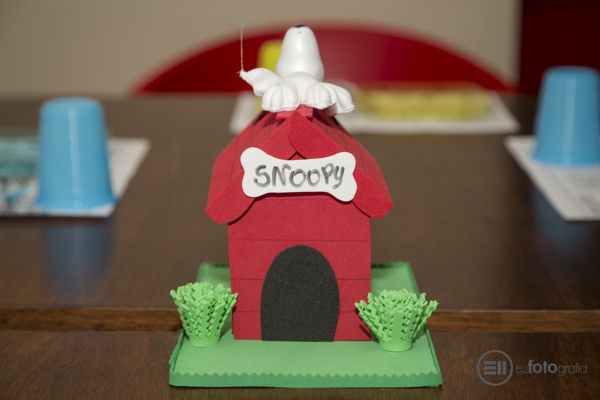 festa infantil e fotos com e2 fotografia