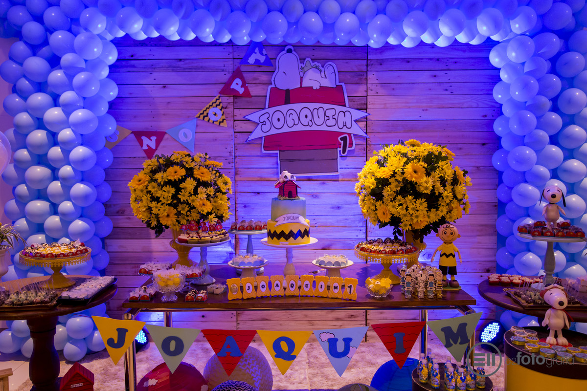 festa infantil e fotos com e2 fotografia