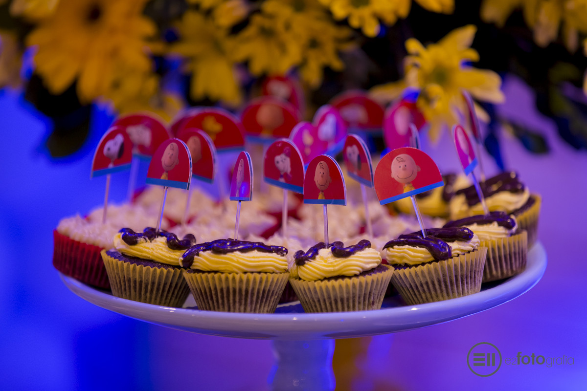 festa infantil e fotos com e2 fotografia