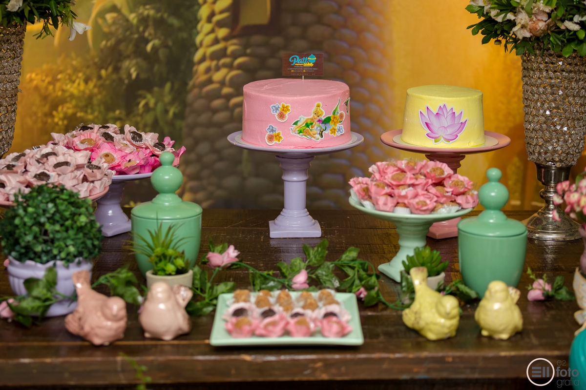 festa de aniversário em porto velho