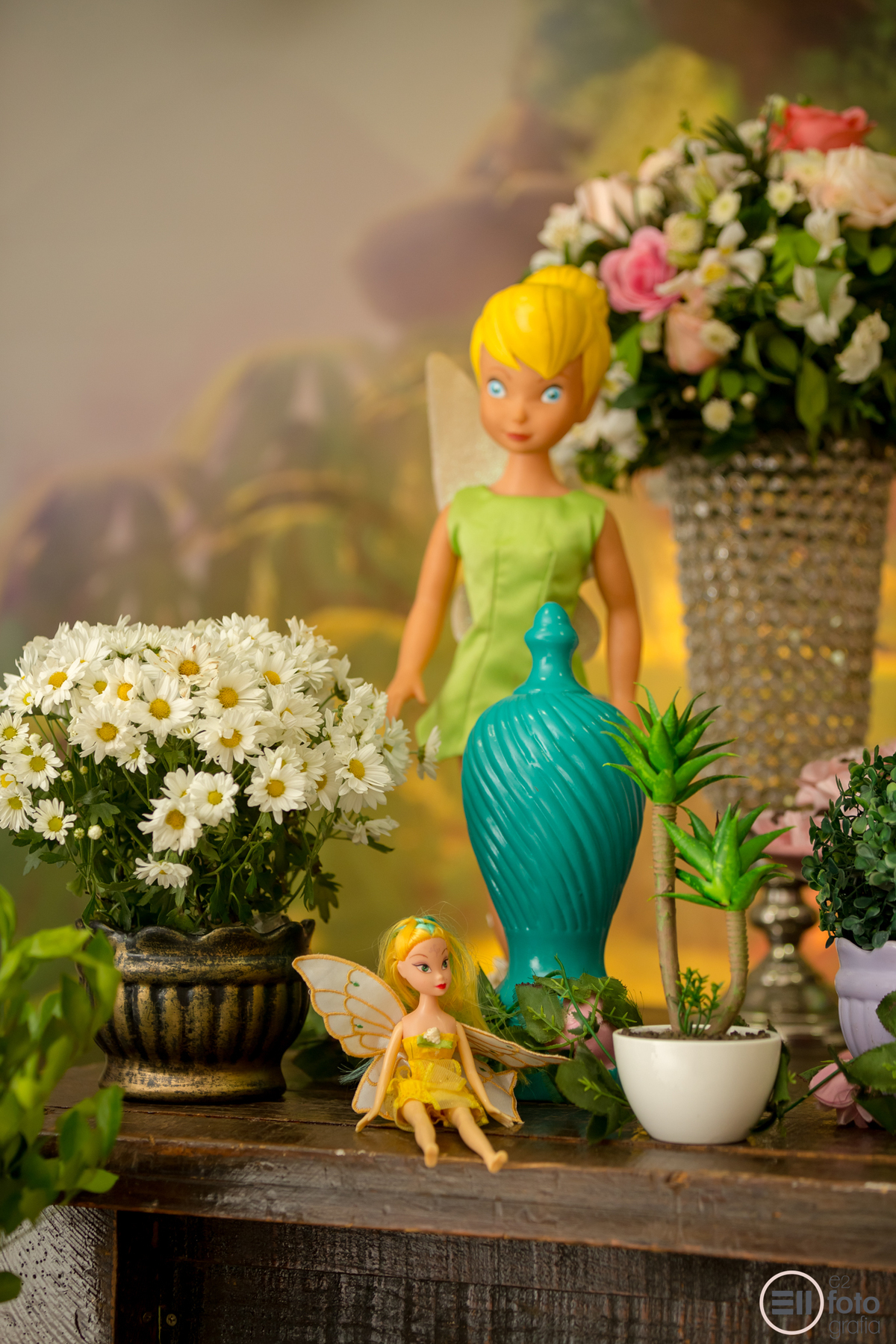 festa de aniversário em porto velho