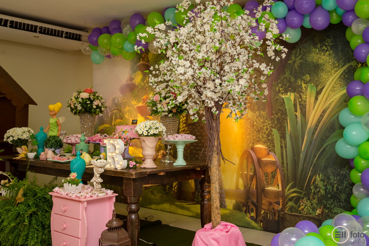 festa de aniversário em porto velho