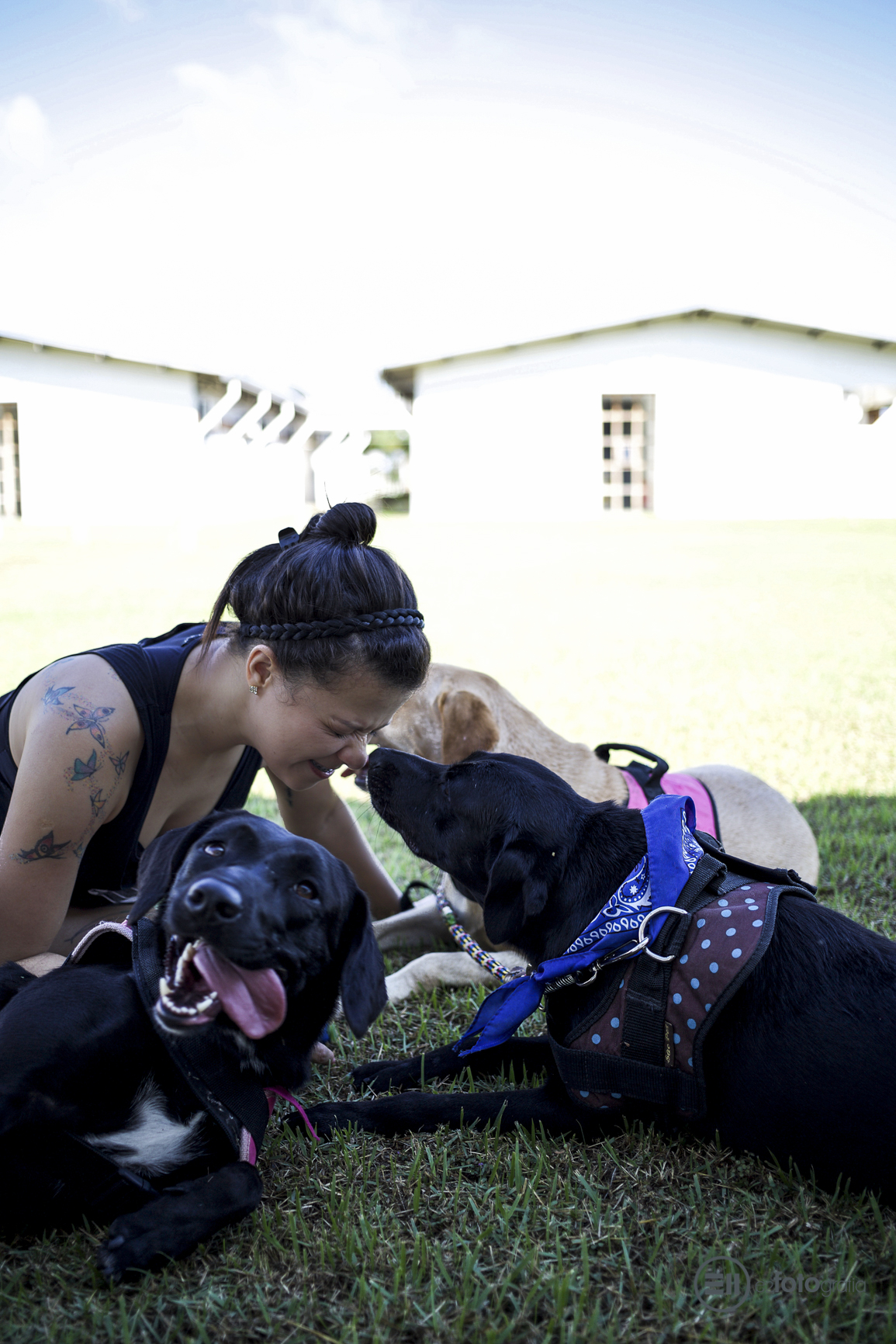 Ensaio Pets no Hotel Madeira Mamoré em Nova Mutum - por E2 Fotografia