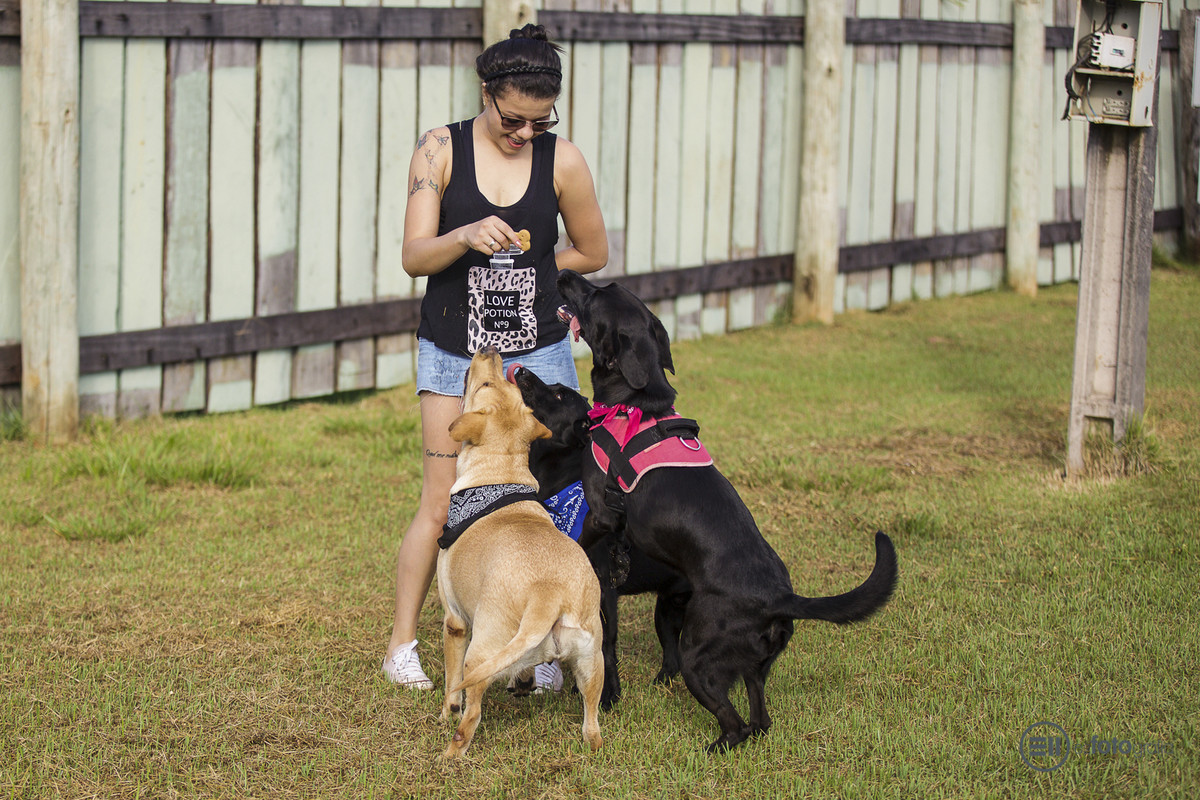 Ensaio Pets - E2 Fotografia