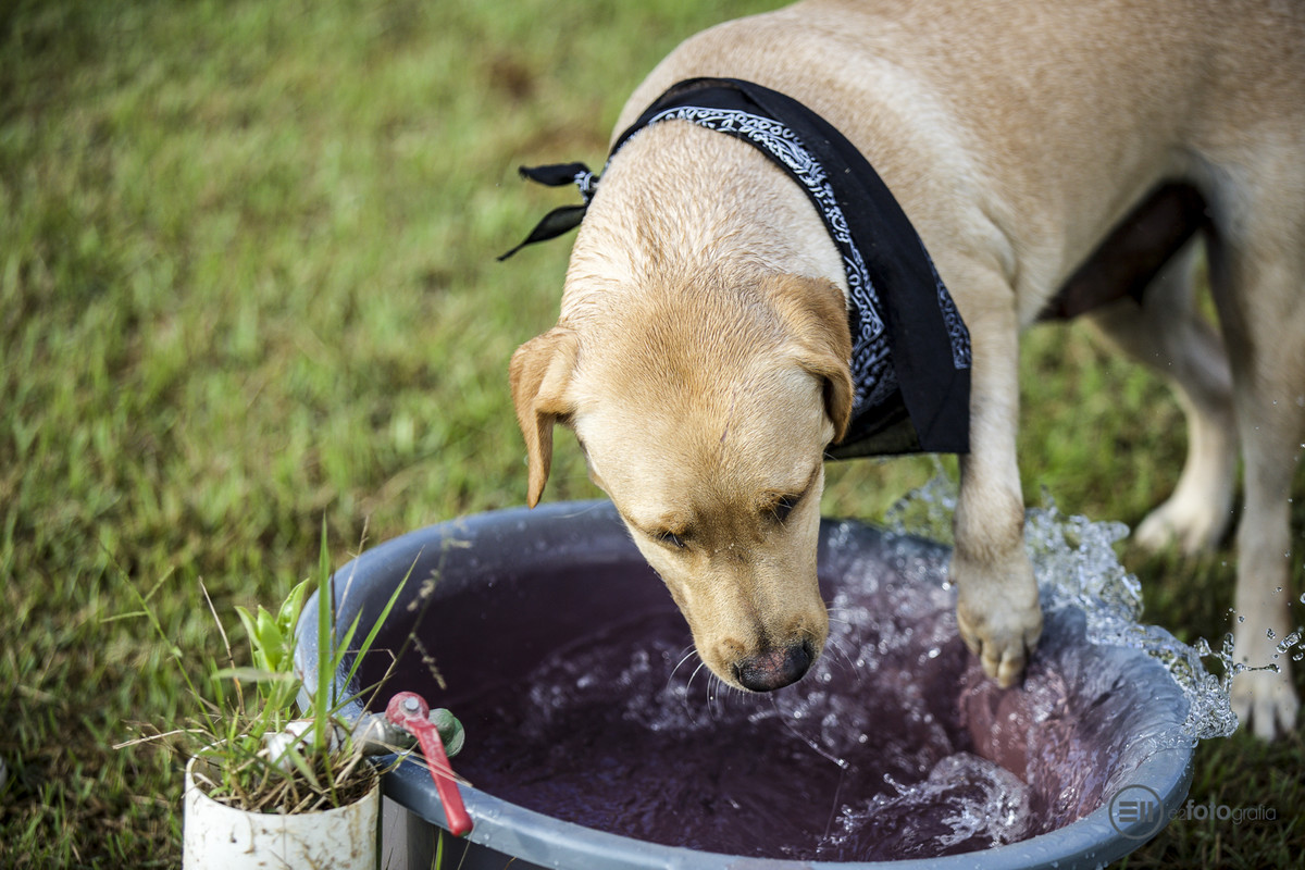 Porque ela AMA água e bagunça