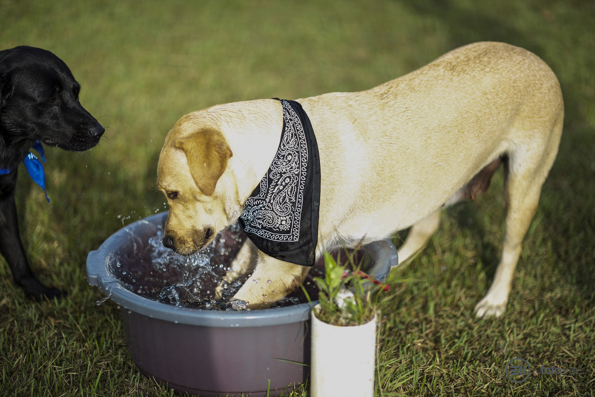 Porque ela AMA água e bagunça