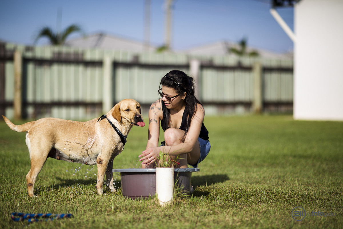 Ensaio Pets - E2 Fotografia