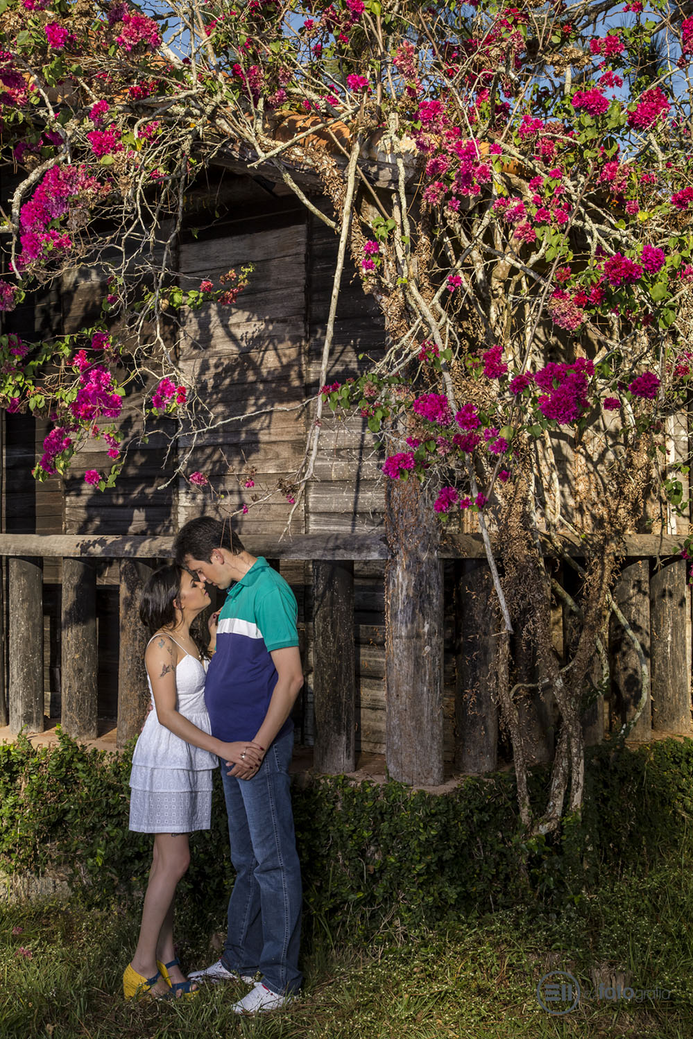 Um amor por cada click - E2 Fotografia - Salsalito