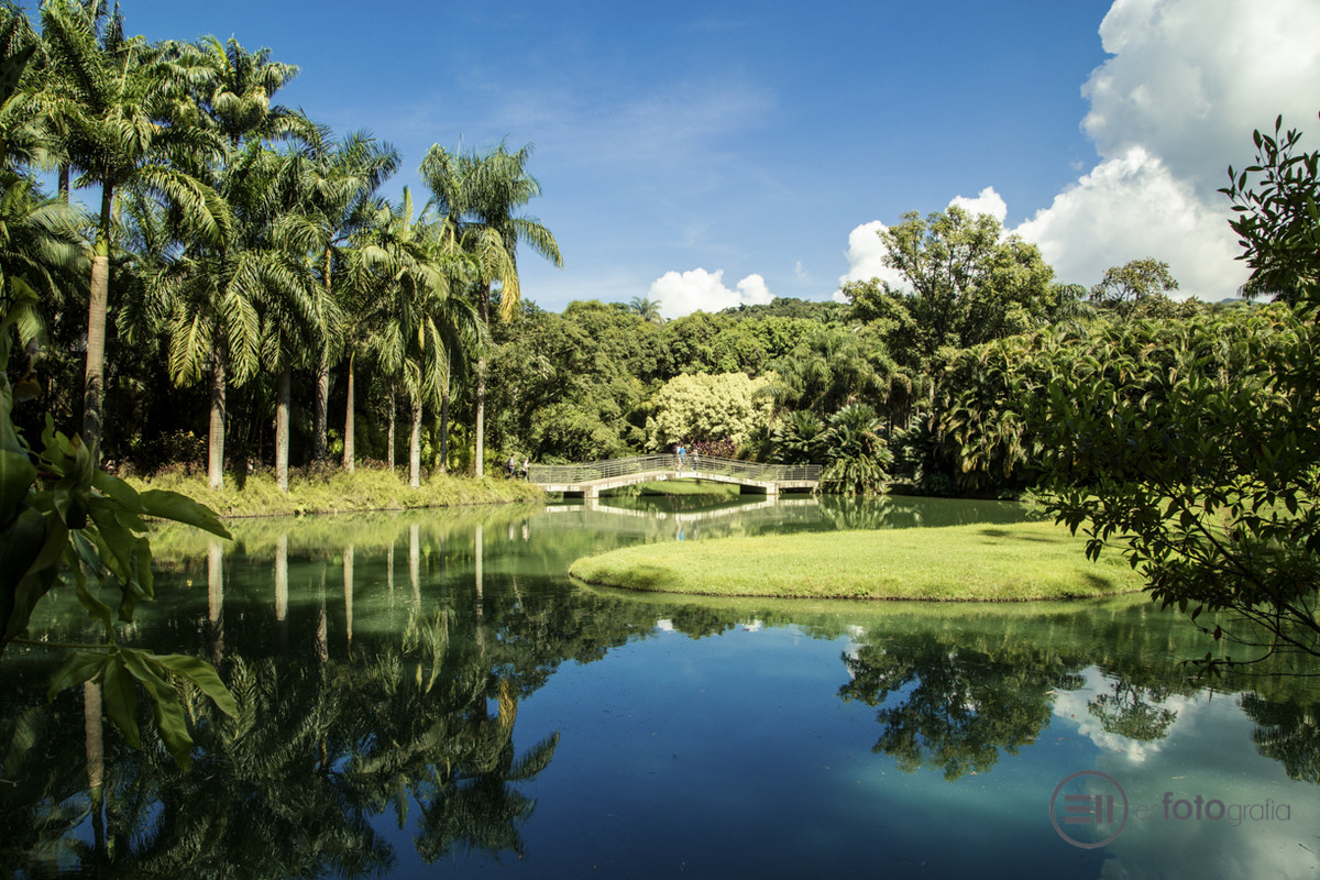 INHOTIM - Museu de Arte Contemporânea