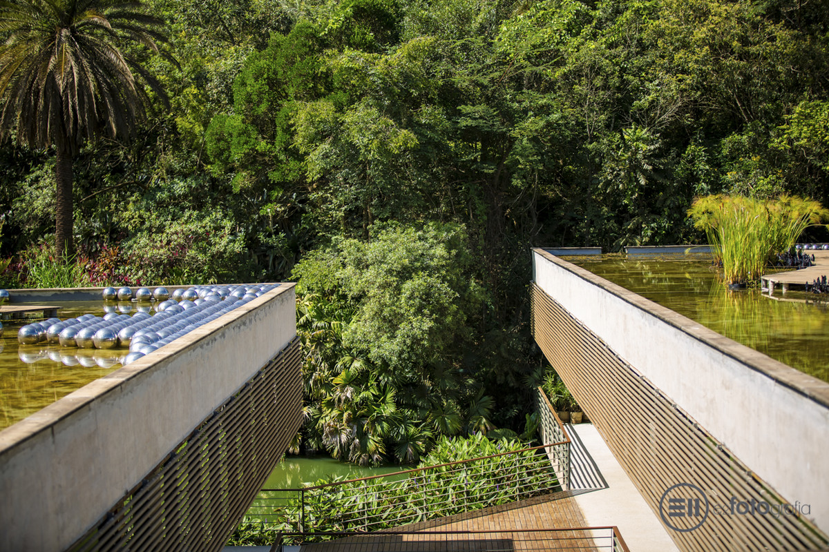 INHOTIM - Museu de Arte Contemporânea